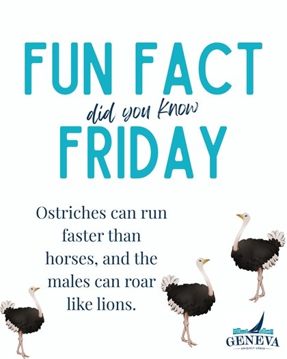 fun fact (image)