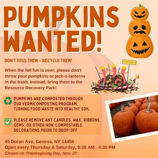 PUMPKINS COMPOSTING