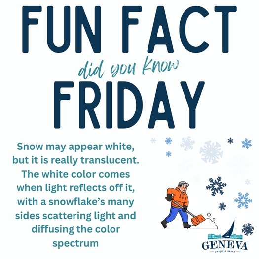 FUN FACT (IMAGE)