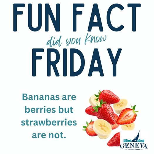 fun fact (image) 1.30.26