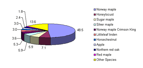 Percentage of Other Tree Species in Top 10 Pie Chart