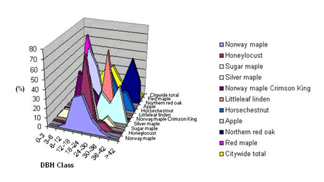 Average Age of the Street Tree Population