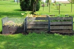 Compost Bins